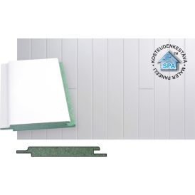 MDF-kattopaneeli Maler SPA STP-5 valkoinen 10 x 92 x 2070 cm