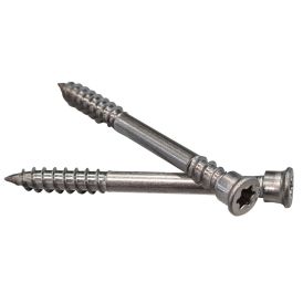 TBS-ruuvi Profi Depot TX25 Ø 5,5 x 60 mm