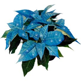 Joulutähti eco-glitterillä Kotimainen