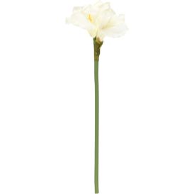 Koristeoksa Winteria amaryllis valkoinen 20 x 17 x 66 cm