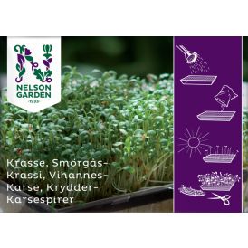 Vihanneskrassi Nelson Garden
