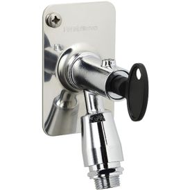 Vesipostihana FM Mattsson 4294-0405 kromi