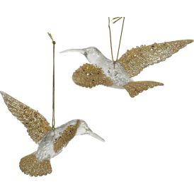 Joulukoriste kolibri lajitelma