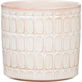 Suojaruukku Opale valkoinen 14 cm