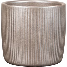 Suojaruukku Magic Gold 18 cm