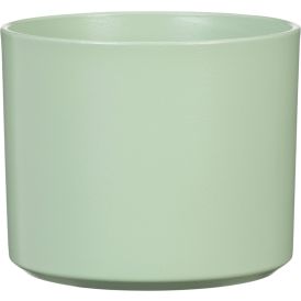 Suojaruukku Monaco lehmuksen vihreä 19 cm