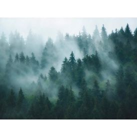 Kuitutapetti A.S. Creation Digiprint Misty Forest 39898-1