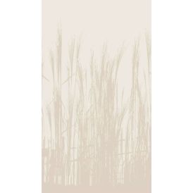 Fototapetti A.S. Creation Stories of Life 39878-1