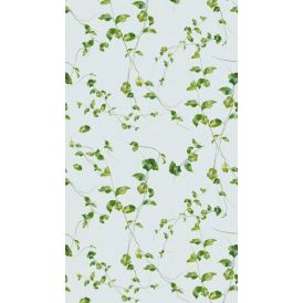 Fototapetti A.S. Creation Stories of Life 39880-1