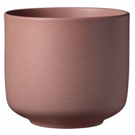 Suojaruukku Soendgen Bari Blossom kirsikka, eri kokoja