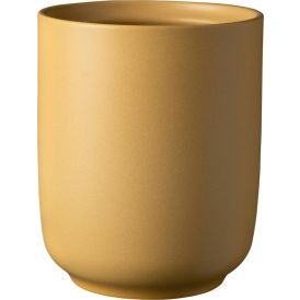 Orkidearuukku Soendgen Bari Blossom keltainen 15 cm