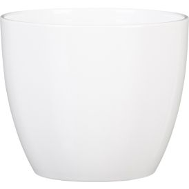 Suojaruukku Soendgen Basel valkoinen 41 cm