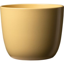 Suojaruukku Sevilla 11 cm keltainen