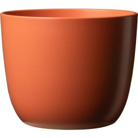 Suojaruukku Sevilla 11 cm punainen