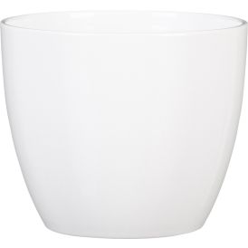 Suojaruukku Soendgen Basel valkoinen 33 cm