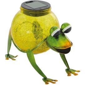 Solarvalo Eglo Sammakko