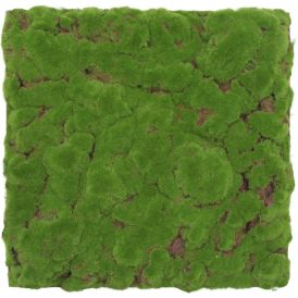 Seinäpaneeli Jangal Forest Green Design 52 x 52 cm
