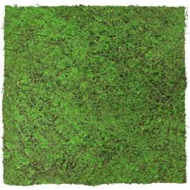 Seinäpaneeli Jangal Forest Green Ancient Tree 52 x 52 cm