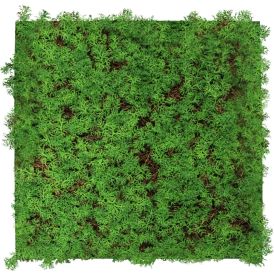 Seinäpaneeli Jangal Thuja Tea Tree 52 x 52 cm