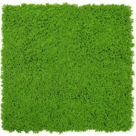 Seinäpaneeli Jangal Lime Green 52 x 52 cm