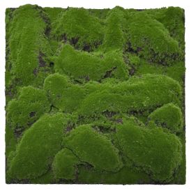 Seinäpaneeli Jangal Dark Green Design 52 x 52 cm