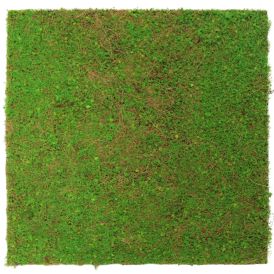 Seinäpaneeli Jangal Light Green Coconut 52 x 52 cm