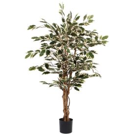 Silkkikasvi Ficus Hawaii 110cm