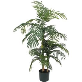 Silkkikasvi Betelpalmu 150 cm