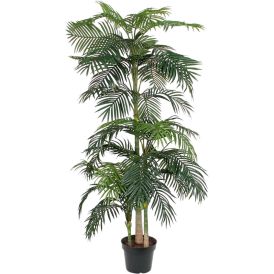 Silkkikasvi Betelpalmu 240 cm
