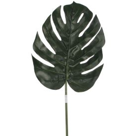 Silkkikasvi Peikonlehden oksa 88 cm