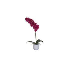 Silkkikasvi perhosorkkidea violetti 60 cm