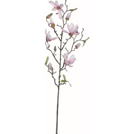 Koristeoksa Magnolia pinkki 75 cm