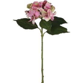 Koristeoksa hortensia roosa 51 cm