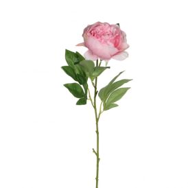 Silkkikasvi Pionin oksa pinkki 76 cm