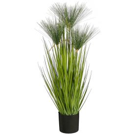 Silkkikasvi Papyrus-heinä 76 cm
