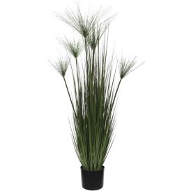 Silkkikasvi Papyrus heinä 127 cm
