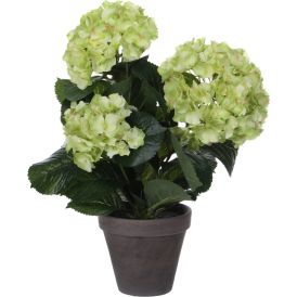 Silkkikasvi Hortensia 13,5 cm vihreä