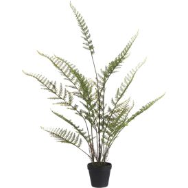 Silkkikasvi Saniainen 91 cm