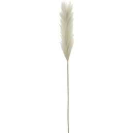 Silkkikasvi Sokeriruoko vihreä 104 cm