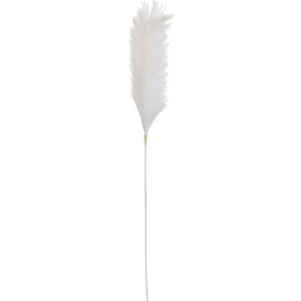 Silkkikasvi Sokeriruoko valkoinen 104 cm