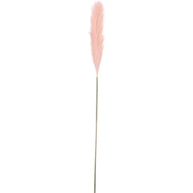 Silkkikasvi Pampaheinä 104 cm