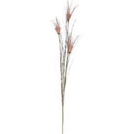 Silkkikasvi Papyrus punainen 62 cm