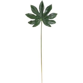 Silkkikasvi Aralian lehti 66 cm