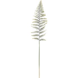 Silkkikasvi Saniaisen lehti 78 cm