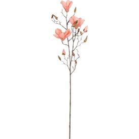 Koristeoksa Magnolia 88 cm persikka