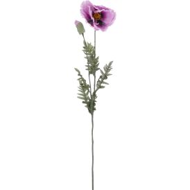 Silkkikasvi unikko violetti 115 cm