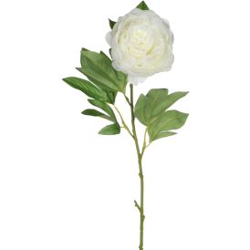 Koristeoksa Pioni valkoinen 76 cm