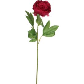 Koristeoksa Pioni punainen 76 cm