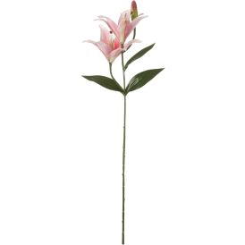 Koristeoksa Tiikerinlilja 65 cm vaaleanpunainen