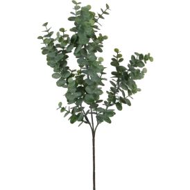 Koristeoksa Eucalyptus 65 cm